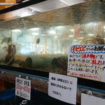 Eguchi Houraikan - 鮮魚売り場