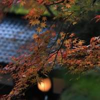 平野屋 - 