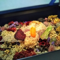 レストランエール - #1. 花束