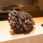 にい留 - 32 舞茸