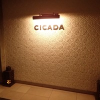 CICADA - 
