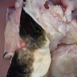 勝しん - ２月上旬にあがった５キロのおす