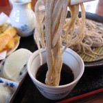 そば処 かねさん - チョンと汁に浸け、手繰る・・