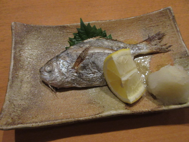 おひとり様でもok お得な飲み放題付きの魚づくしのコース By 旅浪漫 魚市場 小松 こまつ 片原町 高松 魚介料理 海鮮料理 食べログ おひとり様でもok お得な飲み放題付きの魚づくしのコース By 旅浪漫 魚市場 小松 こまつ 片原町 高松 魚介料理 海鮮料理 食べログ
