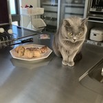 ブーランジェリー タテル ヨシノ プリュス - フランスの猫はバゲット大好きです　by 伝次郎
