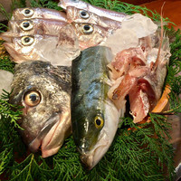 魚めし 竹亭 - この日のお魚
                    ※一番奥がワキヤハタ