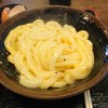 手打十段 うどんバカ一代