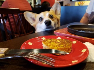 Okonomiyaki Wagokoro - 