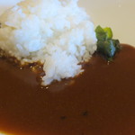 Awadainingu shimbou - カレー