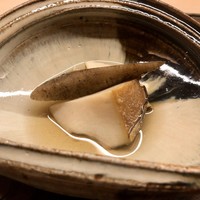 蓮 三四七 - 