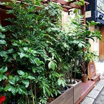 ガリネット - ぶどうの木