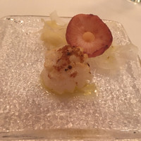 サーラ アマービレ - 