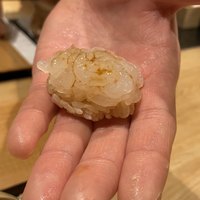 紀尾井町 三谷 - 白海老。生の小さな白海老の殻を剥くのも大変だが、20匹から30匹ものせた力作。ねっとりとした甘味が舌に残るくらいの美味さ。
                    