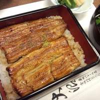 割烹 蒲焼 大沼 - 