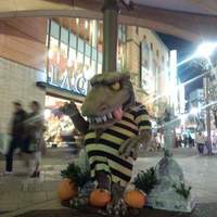 割烹 蒲焼 大沼 - 