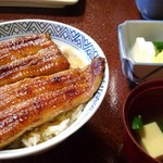 うなぎ 桜家 - 鰻丼