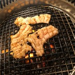 京松蘭 - 
      上ミノ