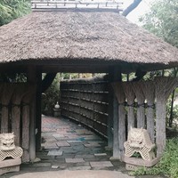 九つ井 本店 - 外　　　　観
                      