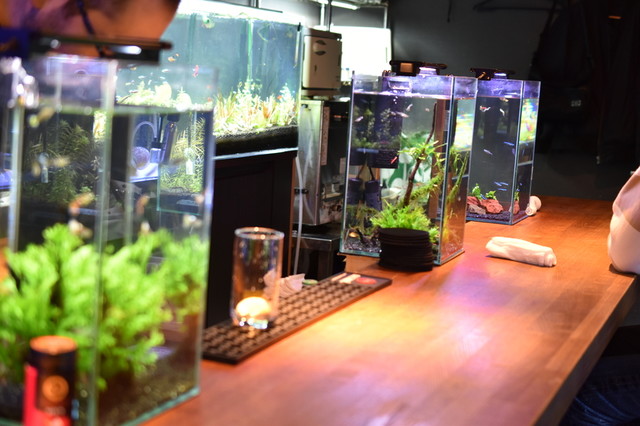 深海bar The Deep 深海バー ザ ディープ 旧店名 近藤熱帯魚店 天神橋筋六丁目 バー 食べログ 深海bar The Deep 深海バー ザ ディープ 旧店名 近藤熱帯魚店 天神橋筋六丁目 バー 食べログ