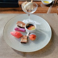 スミレオオサカ - 