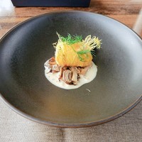 スミレオオサカ - 