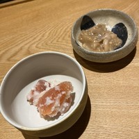 霜止出苗 - 