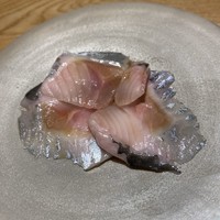 霜止出苗 - 