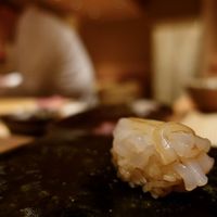 三宿の鮨 えん 別邸 - アオリイカの糸造り