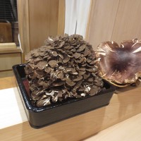 津の守坂 小柴 - 天然舞茸？