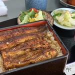 Unagi Kinsui - 