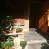 Selvaggio - 