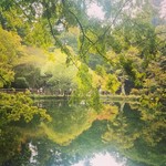 トラットリア プリモ - 