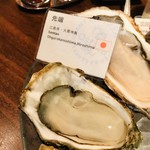 オストレア oysterbar&restaurant - 先端／広島県・大黒神島