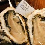 オストレア oysterbar&restaurant - 広田湾 M／岩手県・陸前高田