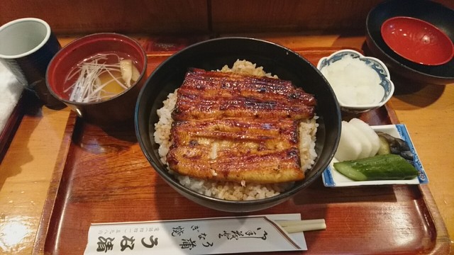 うな清 うなせい 子安 うなぎ 食べログ うな清 うなせい 子安 うなぎ 食べログ