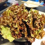 韓国料理 benibeni - チシャ