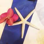 ジャルダンドゥボヌール - 