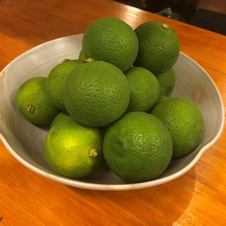 四季のあじ旬楽_1