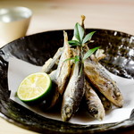 Salted fried bean horse mackerel