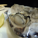 山猫軒 - 2012年01月