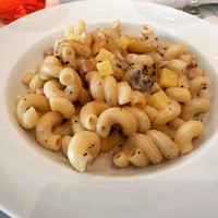 Benoit Alain Ducasse - 