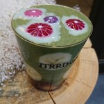 JTRRD cafe KYOTO