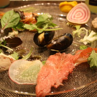 キャトルラパン - キャトルラパン