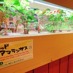 沖縄菜園ビュッフェ カラカラ - 