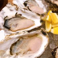Oysterbar&Wine BELON 渋谷店 - 