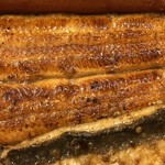 鰻はし本 - 横山さんの鰻の鰻重ろ