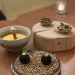 Petit Maison de L’Avenir - 