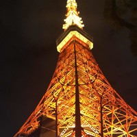 ワカヌイ グリル ダイニング バー 東京 - 