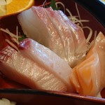 Sennari Zushi - 刺し身 2019年10月