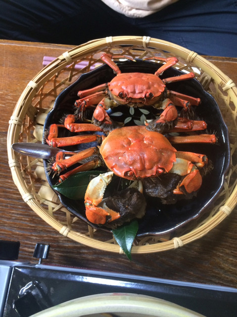 ファミリー アンド リゾート 川ばた 河津 旅館 食べログ ファミリー アンド リゾート 川ばた 河津 旅館 食べログ